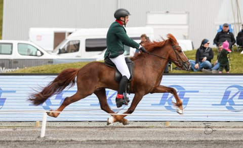 Ásmundur Ernir Snorrason og Askur frá Holtsmúla 1. Mynd Freydís Bergsdóttir