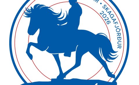 Stallion- Review