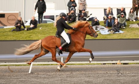 Kristín Eir Hauksdóttir Holake og Abel frá Skáney. Mynd Freydís Bergsdóttir
