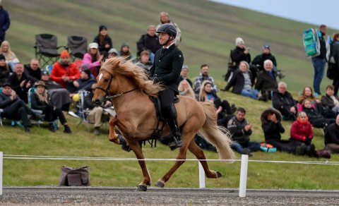 World record holder Safír delivers a spectacular performance