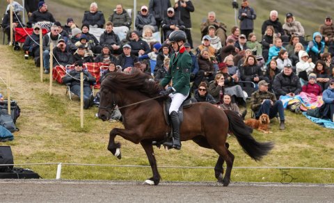 Róbert Darri Edwardsson and Rökkvi frá Hólaborg. Mynd Freydís Bergsdóttir