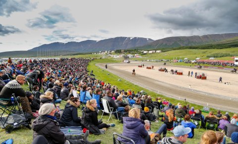 Forsölutilboð framlengt til 5. janúar – mikil eftirspurn eftir miðum á Landsmót á Hólum 2026.