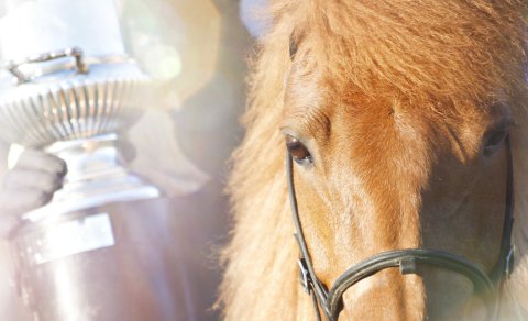 Keppni í barnaflokki lokið!