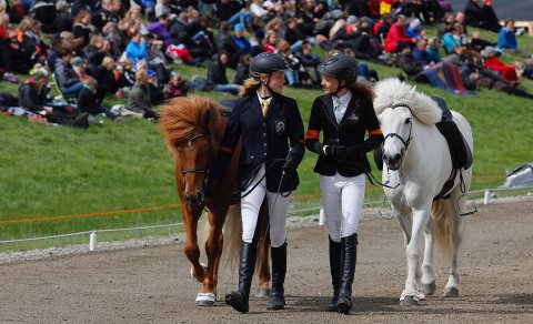 Fjöldi þátttakenda í gæðingakeppni Landsmóts 2024