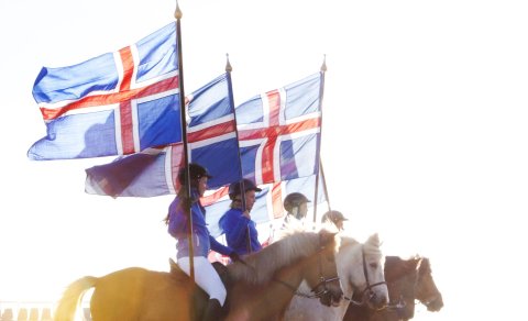 Punktar frá yfirdómara fyrir keppni