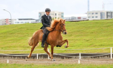 Auðlind frá Þjórsárbakka and Þorgeir Ólafsson in the lead in V1