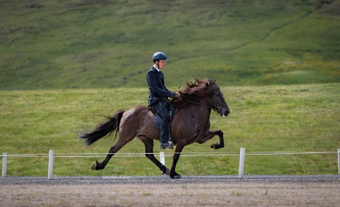 Blíða frá Bergi og Þorgeir Ólafsson. Mynd Þórhildur Gunnarsdóttir
