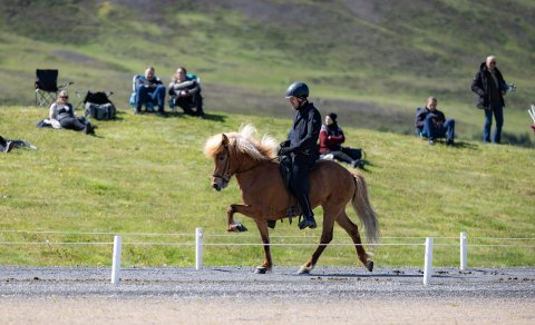 Daniel Jónsson og Glíma. Mynd Þórhildur Gunnarsdóttir