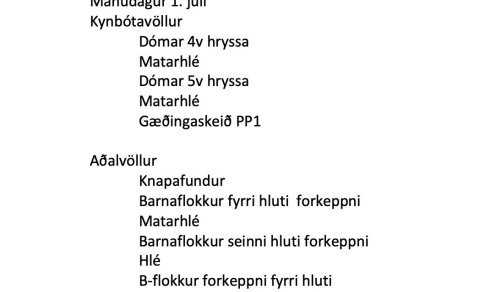 Drög að dagskrá Landsmóts 2024