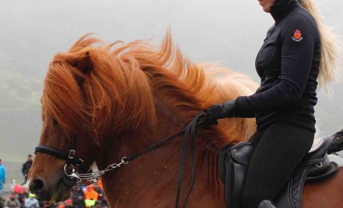 Four-year-old mares first in track at LM2024 - timetable is ready!