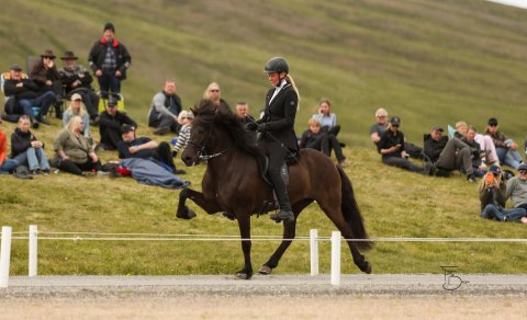 Hugsýn frá Ketilsstöðum og Elín Holst. Mynd Freydís Bergsdóttir