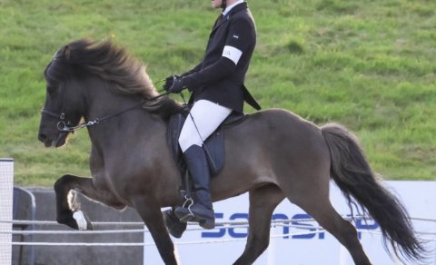 Gústaf og Assa sigra B-úrslit í tölti