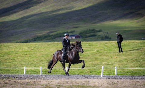 Hrefna frá Hemlu II og Vignir Siggeirsson. Ljósmynd: Þórhildur Gunnarsdóttir