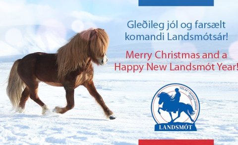 Mynd: Freydís Bergsdóttir