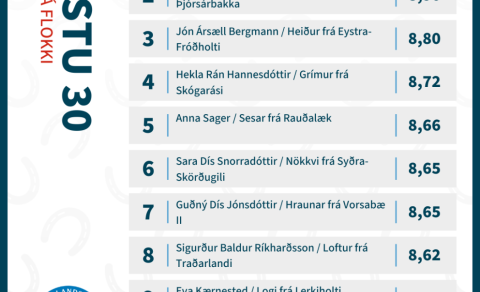 Tumi frá Jarðbrú and Matthías Sigurðsson in the lead in young adult class!
