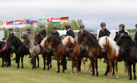 Fjöldi kynbótahrossa á Landsmóti verða 170