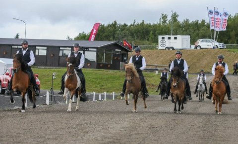 Viltu sýna þína ræktun á Landsmóti í sumar?