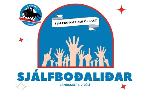 Viltu vera sjálfboðaliði á Landsmóti?