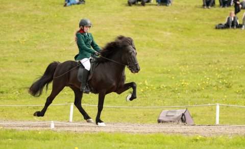 Ljóst hvaða knapar í barnaflokki mæta til úrslita