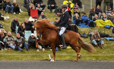 Gabríel Liljendal Friðfinnsson og Ólsen frá Egilsá. Mynd Freydís Bergsdóttir