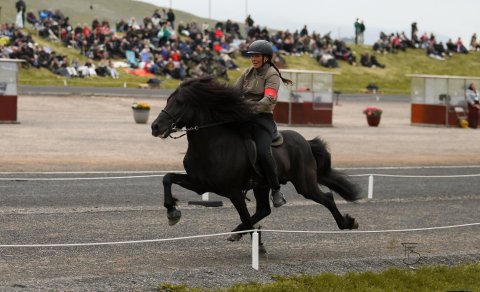 Guðrún Lilja Rúnarsdóttir and Kári frá Morastöðum. Mynd Freydís Bergsdóttir